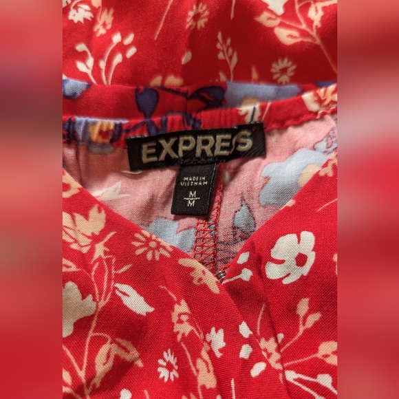 Express Red Floral Sun Dress - Picture 3 of 5